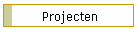 Projecten